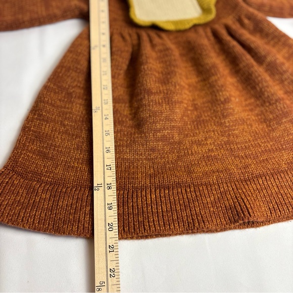 Beautiful Rust Knit Baby Dress with Ruffle Collar - Picture 7 of 7